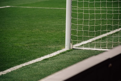 ملخصات مانها تركيةاستكشاف عالم المانها التركية المثير
